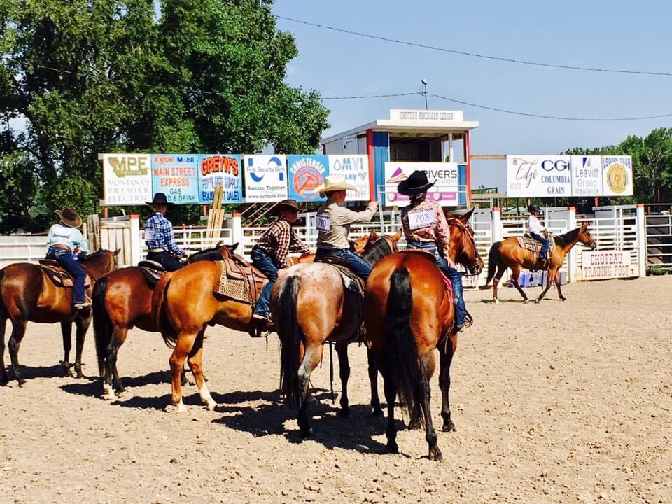 Teton County 4-H Fair : Event Image